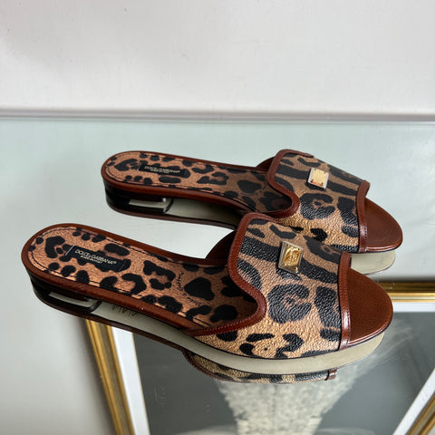 Rasteira Dolce & Gabbana Leopardo